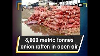 8,000 metric tonnes onion rotten in open air - Madhya Pradesh News