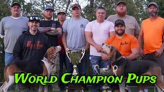 2x World Champion Gray's Rack Em Willy Pup hunt