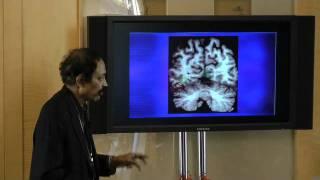 Art, Reality, and the Brain: The Quest for Aesthetic Universals - Dr. V.S. Ramachandran