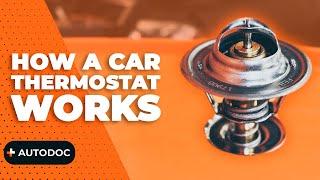 How a car thermostat works | AUTODOC #autodoc #carhack