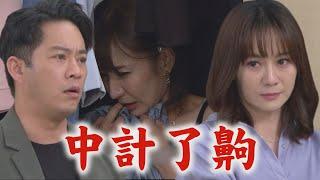 【願望】EP42 美妍爬上正宮床被當場抓包 育生百口莫辯求唯芸原諒｜完全娛樂