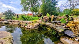 Fall WATERFALL Maintenance // Whitt Acres