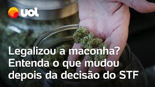 Legalizou a maconha? Não é bem assim; veja o que muda depois da decisão do STF