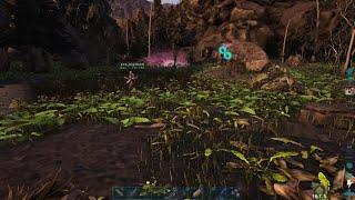 Ark Lost Island Amargasaurus Taming