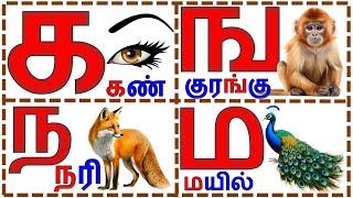 உயிர் மெய் எழுத்துக்கள்/KA KANNU TAMIL /vowel consonants/க ங ச ஞ ட க ங/@PRINIT1419