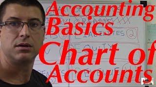 Accounting For Beginners #20 / Chart of Accounts / Assets, Liabilities, Equity, Revenues, Expenses
