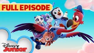 You've Gotta Be Kitten Me /Whale, Hello There  | S1 E1 | Full Episode | T.O.T.S. | @disneyjr