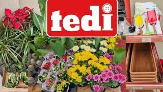 TEDİ MARKETLERDE  ÇİÇEK ve SAKSI ŞÖLENİ #çiçek #keşfet #tedimarket