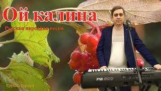 Formatia Curnut (Группа Курнуц) - Ой калина ой малина, русские народные песни (Cover) #курнуц