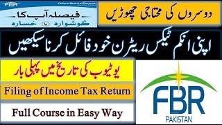 How to file Income Tax Return online in iris fbr || irs tax filer || Income tax 2023 fbr