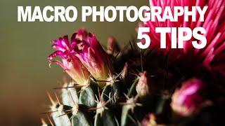 5 MACRO PHOTOGRAPHY TIPS