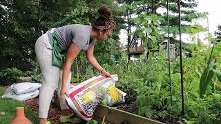 Planting The Fall Garden | Gardening Vlog