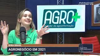 Mercado de commodities agrícolas - como funciona?