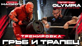 Пътят към Mr.Olympia с Радослав Ангелов - тренировка за гръб и трапец