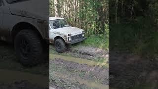 Cordiant off road 2 тестим