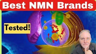 ‼️ Verified NMN Supplements: Brands That Deliver Promised Dosages 