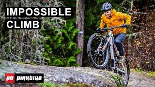 12 Trail & Downcountry Bikes vs. The Impossible Climb | 2021 Fall Field Test
