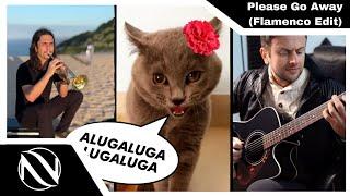 Please Go Away (Flamenco Edit) | SUBTITULADO EN ESPAÑOL | The Kiffness x Alugalug Cat 2.0 ft. Spaul