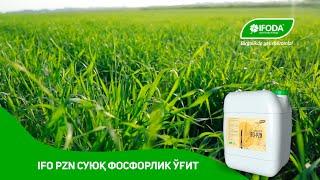 IFO PZN СУЮҚ ФОСФОРЛИК ЎҒИТ