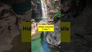 Explore this Hidden waterfall in Goa #shorts #goa