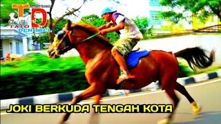 Joki Toni Berkuda Tengah KOTA METROPOLITAN Lincah Gesit - Horse Riding - tato denggel