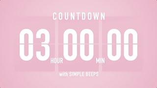 3 Hours Countdown Flip Clock Timer / Simple Beeps 