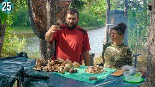 Bushcraft по-русски, собираем грибы на зиму. 35 день в тайге, скоро зима. Приполярный Урал. Бушкрафт