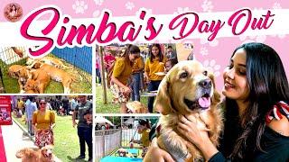 A Day Out with Simba at the Pet Gala: Our Journey at the Show | Aishwarya Shindogi