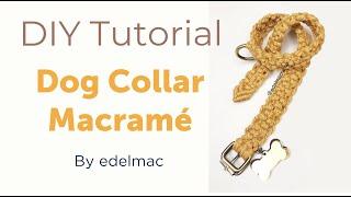 DIY Easy to Make Dog Collar Macrame Handmade