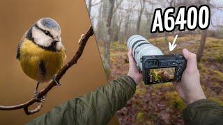 Relaxing POV Nature Photography | A Rewarding Day Despite the Weather