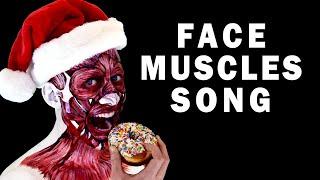MUSCLES OF FACIAL EXPRESSION AND MASTICATION SONG