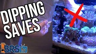 AVOID These 7 Mistakes Reefers Make When Dipping New Coral!