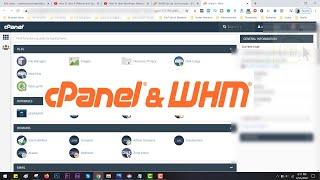 Access cPanel from WHM Panel