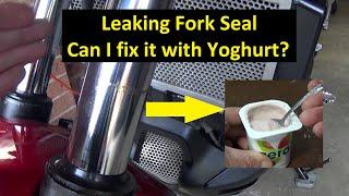 Leaking Fork Seal - Can I fix it with Yoghurt?