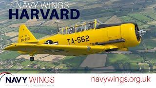 Navy Wings Harvard