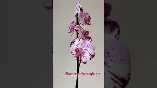 Phalaenopsis Magic art.️