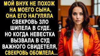 Мой внук не похож на моего сына - свекровь зло шипела в суде. Но когда невестка вызвала свидетеля...