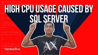 High CPU Usage Caused by SQL Server