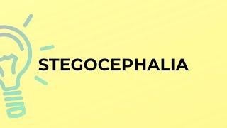 What is the meaning of the word STEGOCEPHALIA?