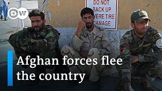 Afghan troops flee to Tajikistan as Taliban advance | DW News