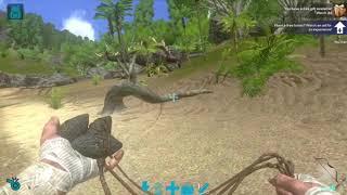 How to tame a Raptor In Ark for low level players