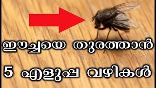 ഈച്ചശല്യം പൂർണമായും മാറ്റാൻ  ഈ അഞ്ചു വഴികൾ  | How to get rid of house flies | Tips N Tricks