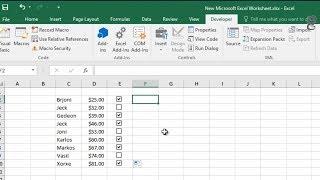 How to Create a Checkbox in Excel:  How to Insert a Checkbox in Excel
