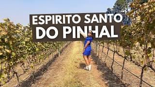 ESPIRITO SANTO DO PINHAL, A TOSCANA BRASILEIRA