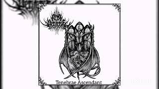 Acta Perverse - Tenebrae Ascendant (Single, 2024)