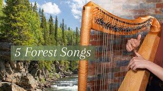 Learn these woodland songs on the harp (Celtic Harp)
