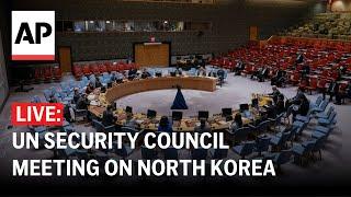 LIVE: UN Security Council meeting on North Korea