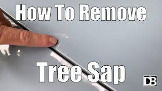 How to quickly remove tree sap from your vehicle | AMAZINGLY EASY! | The Detailing Business