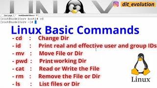 Linux Basic Commands: cd | id | rm | mv | ls | cat | DIT Evolution | Part 2