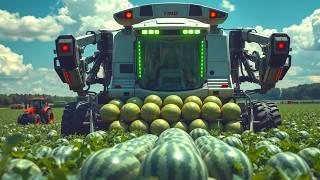 UNBELIEVABLE Agricultural Machines Operating at Insane EFFICIENCY Levels